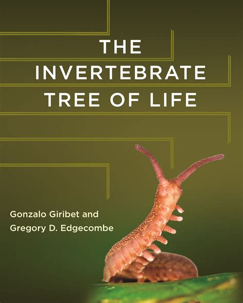 Functional Anatomy of Invertebrates Ebook PDF